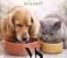 Kedi ve Köpeklerde Su Tüketimi: Evcil Hayvan Sağlığı İçin Neden Hayati Öneme Sahiptir?